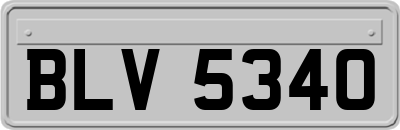 BLV5340