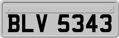 BLV5343