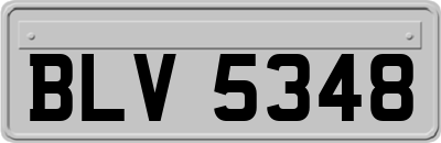 BLV5348