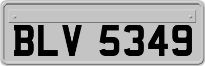 BLV5349