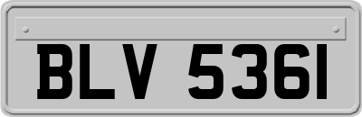 BLV5361
