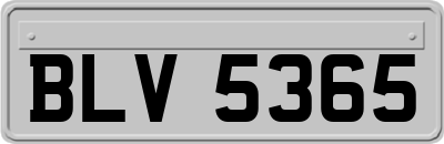 BLV5365