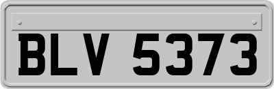 BLV5373