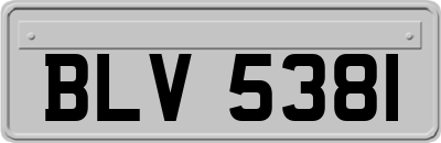 BLV5381