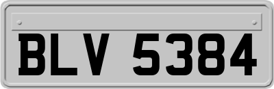 BLV5384