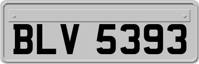 BLV5393