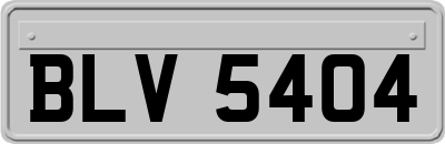 BLV5404