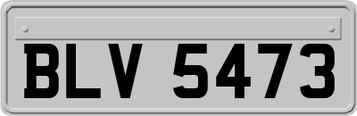 BLV5473