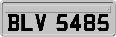 BLV5485