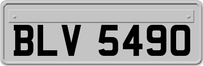 BLV5490
