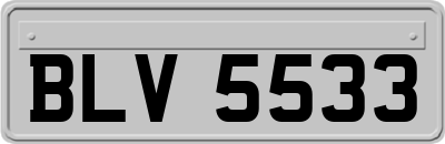 BLV5533