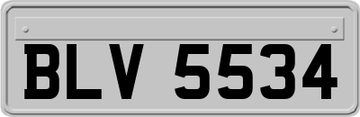BLV5534