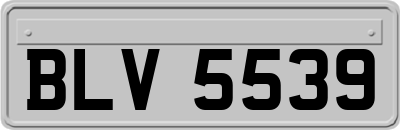 BLV5539