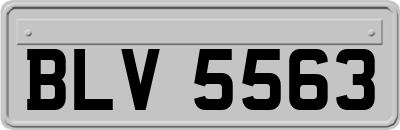 BLV5563