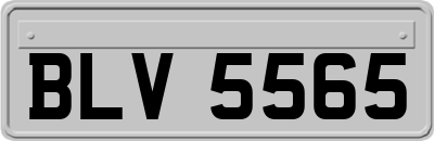 BLV5565