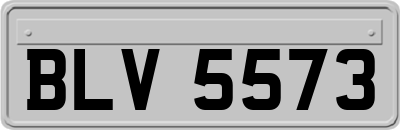 BLV5573