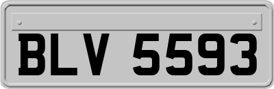 BLV5593