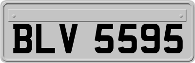 BLV5595