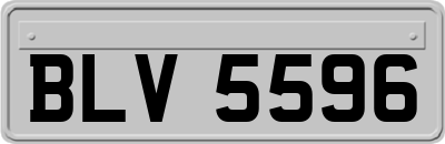 BLV5596