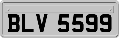 BLV5599