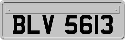 BLV5613