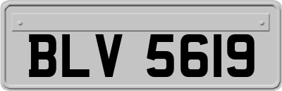 BLV5619