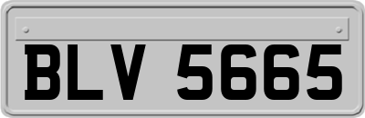 BLV5665