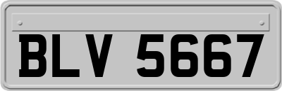 BLV5667