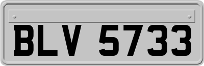 BLV5733