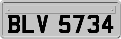 BLV5734