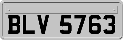 BLV5763