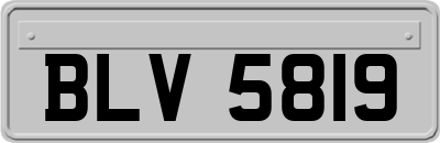BLV5819