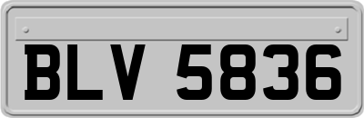 BLV5836