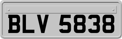 BLV5838