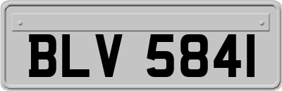 BLV5841