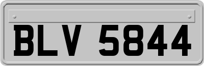 BLV5844