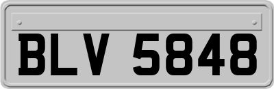 BLV5848