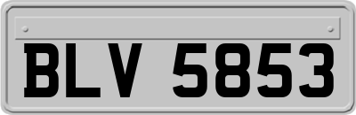 BLV5853