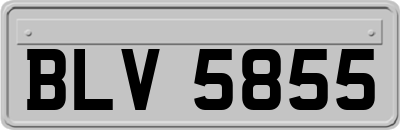 BLV5855