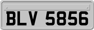 BLV5856