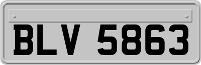 BLV5863