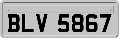 BLV5867