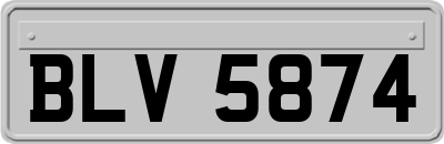 BLV5874