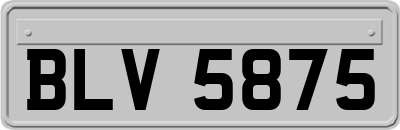 BLV5875