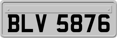 BLV5876