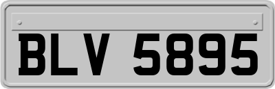 BLV5895