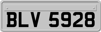 BLV5928