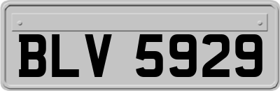BLV5929