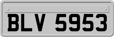 BLV5953