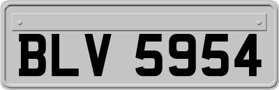 BLV5954